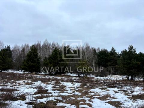 участок по адресу київська, 43