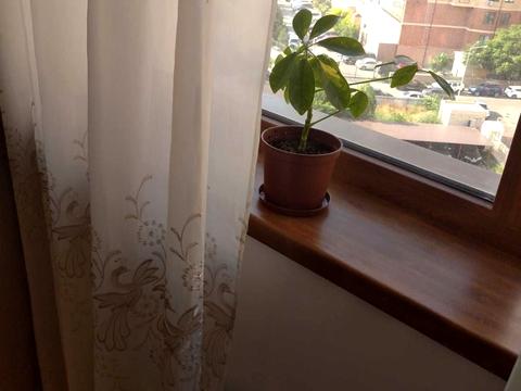 квартира за адресою Добровольців вул. (Маршала Говорова), 10в