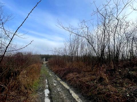 ділянка за адресою 