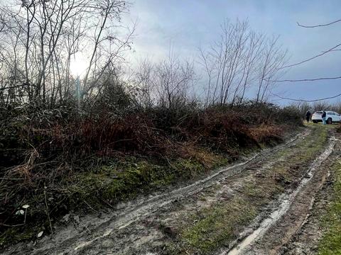 ділянка за адресою 