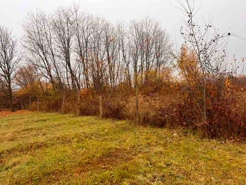 ділянка за адресою Собранецька вул.