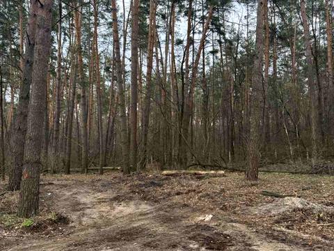 ділянка за адресою с. Стоянка, Ст. Ірпінь