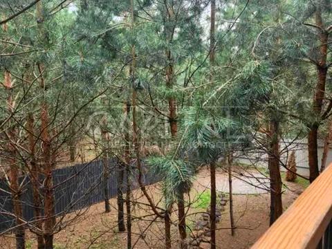 будинок за адресою Шляхова