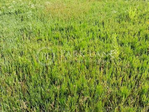 участок по адресу якуніна