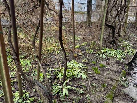 квартира за адресою Мебльовиків пров., 3