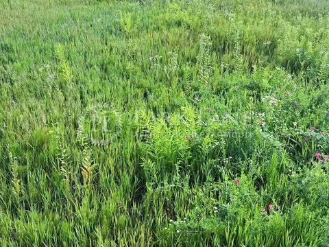 участок по адресу сіверська