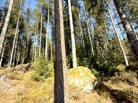 ділянка за адресою Івана Франка