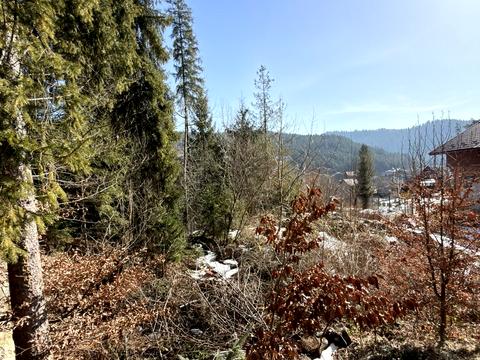 ділянка за адресою Івана Франка