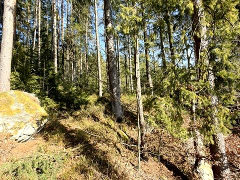 ділянка за адресою Івана Франка