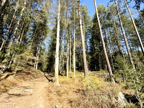 ділянка за адресою Івана Франка