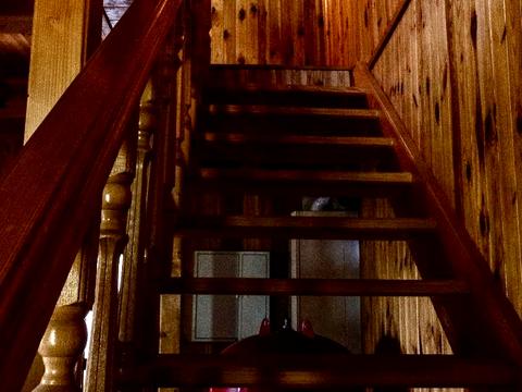 дом по адресу Вишгородська