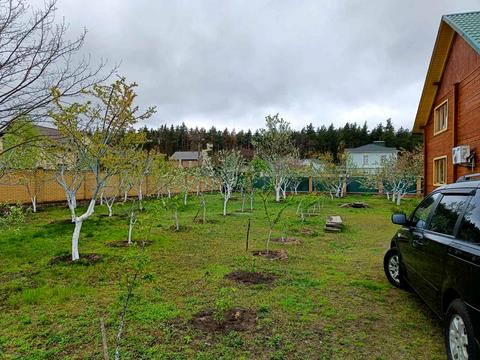 дом по адресу Вишгородська