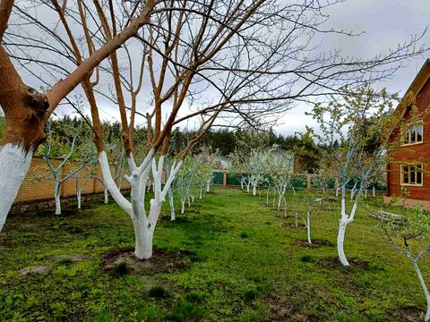 дом по адресу Вишгородська