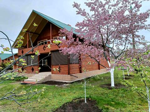 дом по адресу Вишгородська