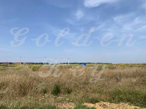 ділянка за адресою с. Велика Олександрівка, Чубинського