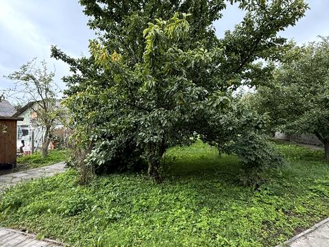 дом по адресу Садовая ул., 7-Б