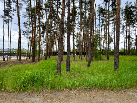 участок по адресу Льва Симиренко ул.