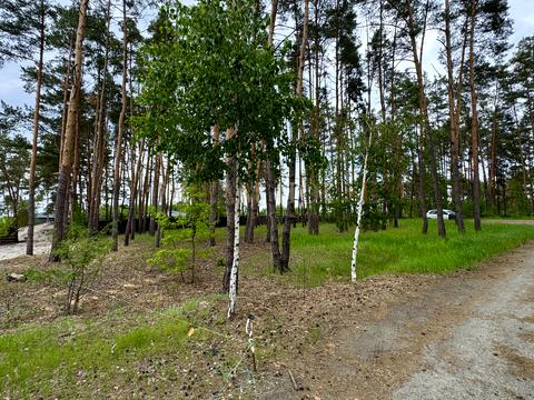 участок по адресу Льва Симиренко ул.