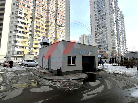 паркомісце за адресою Олени Пчілки вул., 5