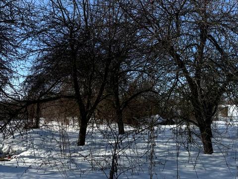 дом по адресу Красилівська