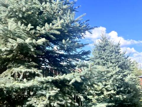 будинок за адресою Садова вул.