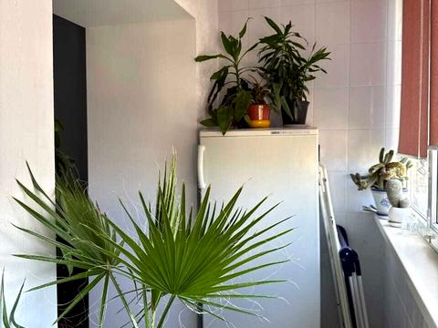 квартира за адресою Панаса Мирного вул., 21/1