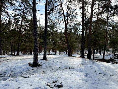 участок по адресу 10-я Линия ул.