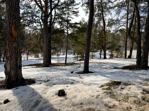 участок по адресу 10-я Линия ул.