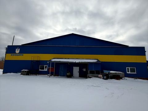 комерційна за адресою Центральна вул. (Леніна), 224в