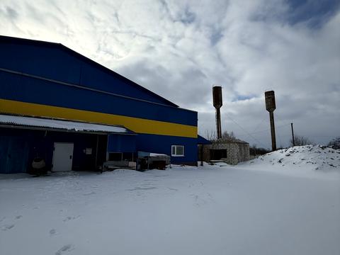 комерційна за адресою Центральна вул. (Леніна), 224в