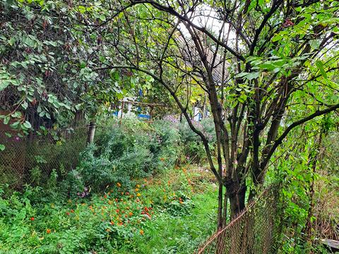 участок по адресу Франко ул.