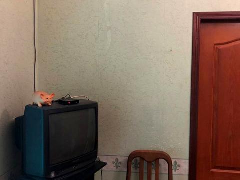 дом по адресу Левитана ул., 25