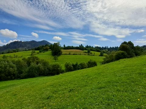 дом по адресу Без назви, 121