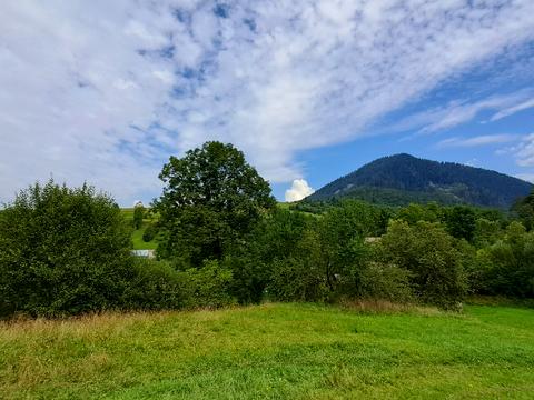 дом по адресу Без назви, 121