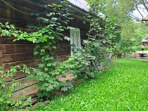 дом по адресу Без назви, 121