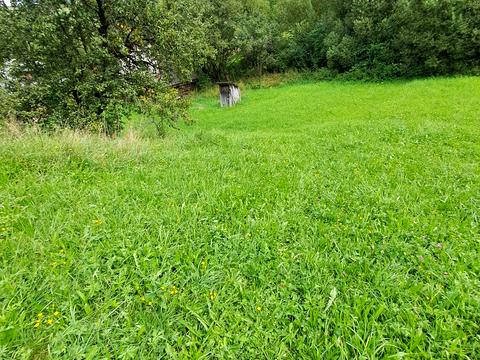 дом по адресу Без назви, 121