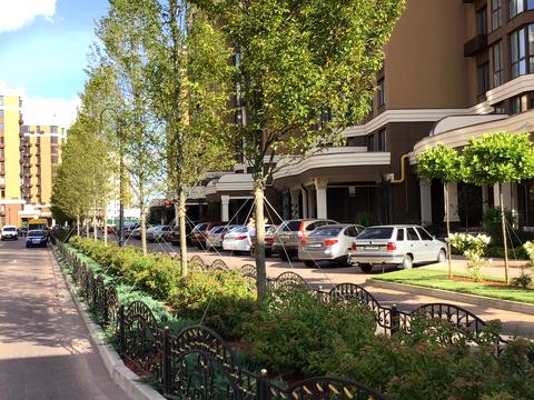 квартира по адресу Радісна, 6