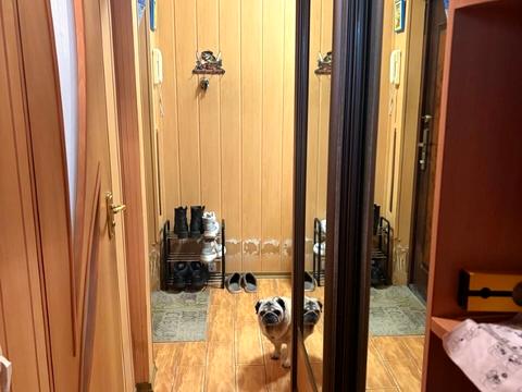 квартира за адресою Північна вул. (Північна), 54-Г