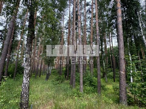 дом по адресу Київська вул.