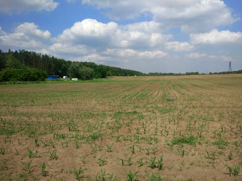 участок по адресу Залесская ул.