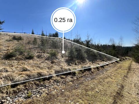 ділянка за адресою 