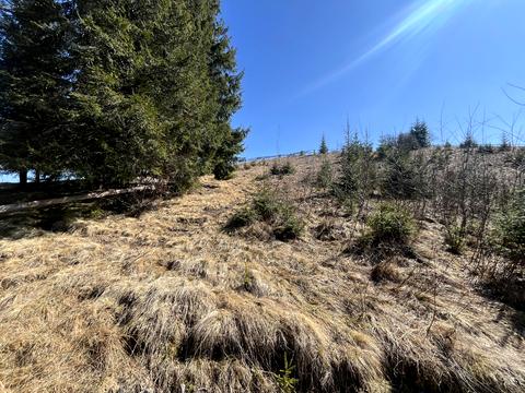 участок по адресу 