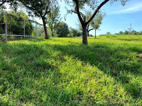 дом по адресу Бориспільська ул., 56