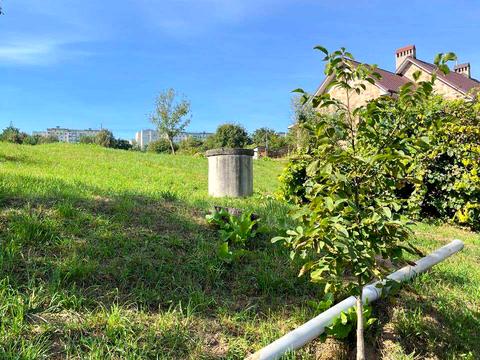 дом по адресу Бориспільська ул., 56