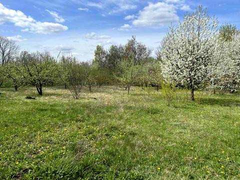 дом по адресу Миру