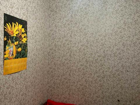 комерційна за адресою Семена Палія вул. (Дніпропетровська дорога), 80