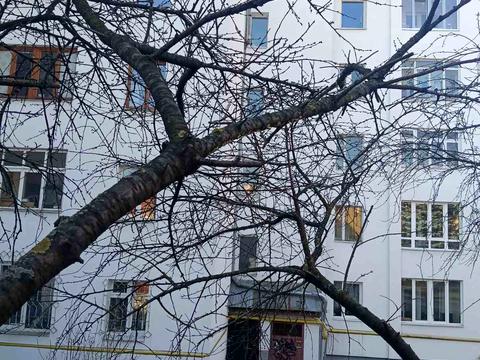 квартира по адресу Лычаковская ул. (Ленина), 127