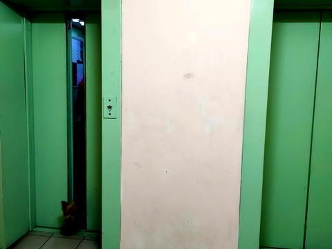 квартира по адресу Анны Ахматовой ул., 46