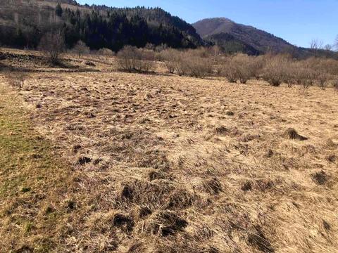 участок по адресу Тараса Шевченка ул.