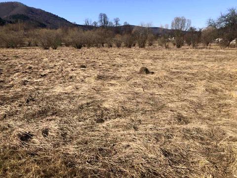 участок по адресу Тараса Шевченка ул.